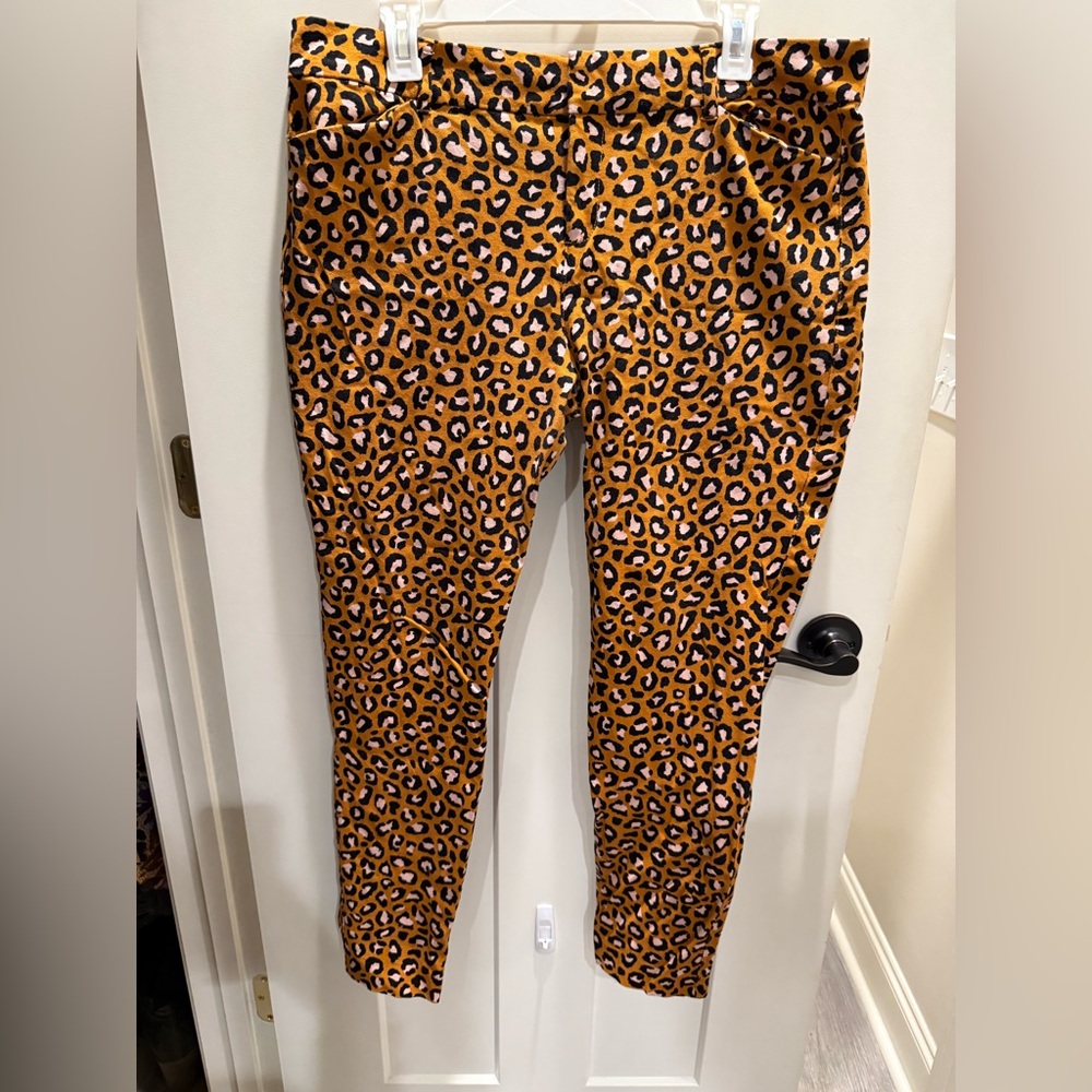 Women’s pants